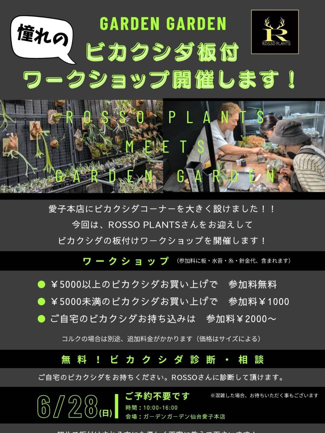 GARDEN GARDEN ROSSO PLANTSビカクシダ板付ワークショップ2026が仙台愛子本店で開催、板付けと無料診断相談を実施