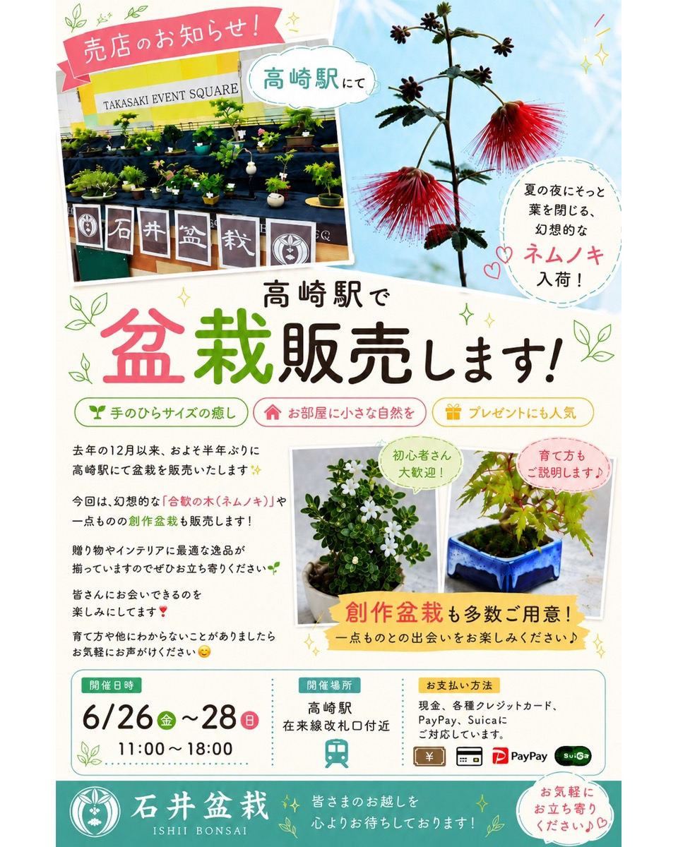 高崎駅盆栽販売2026が開催、石井盆栽のネムノキと創作盆栽が在来線改札口付近に登場