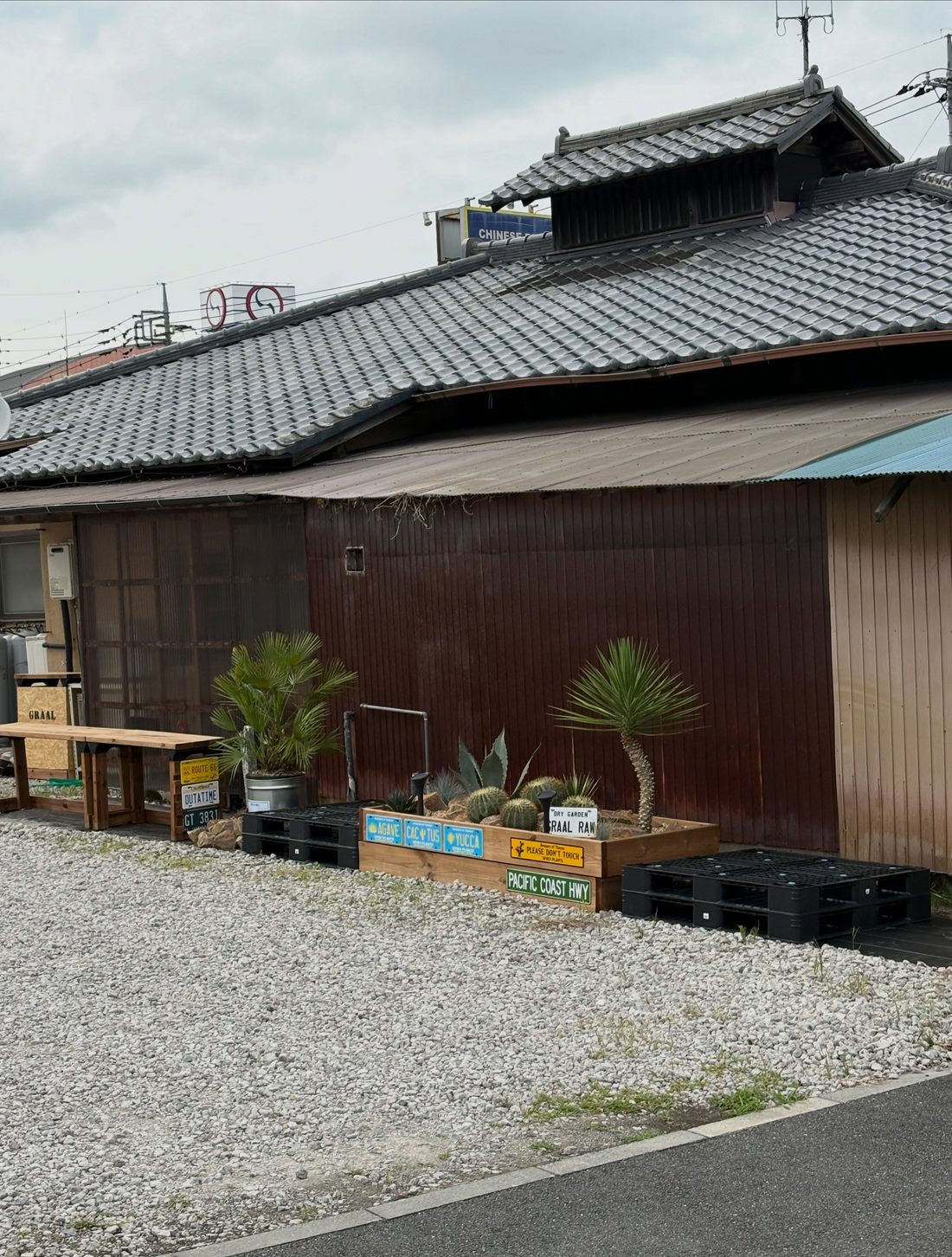 GRAAL RAW成田販売所オープンセール2026が開催、アガベやユッカなど店頭商品20%offを実施
