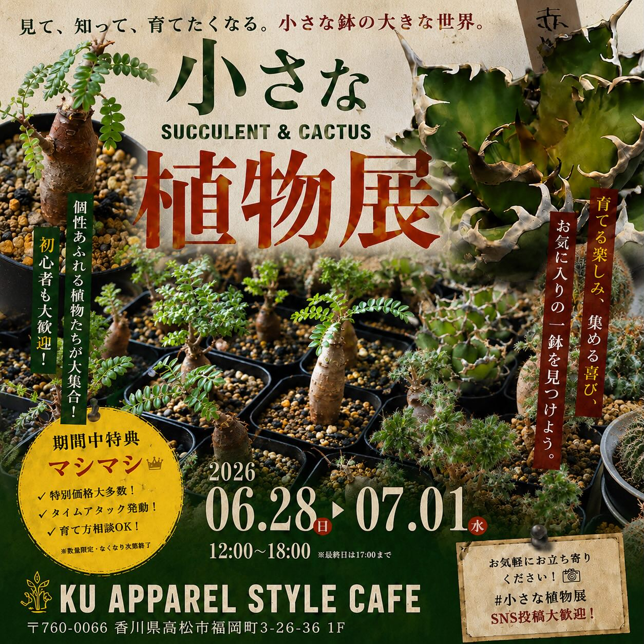 クゥアパレルが小さな植物展2026を開催、多肉植物とサボテンの販売や育て方相談を実施 - リーフラ編集部
