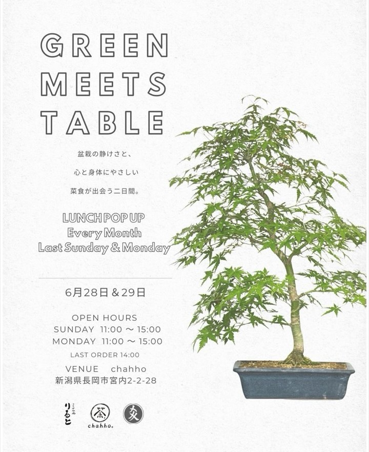 chahhoがGREEN MEETS TABLE vol 8を開催、盆栽とプラントベースごはんが交わる2日間に - リーフラ編集部