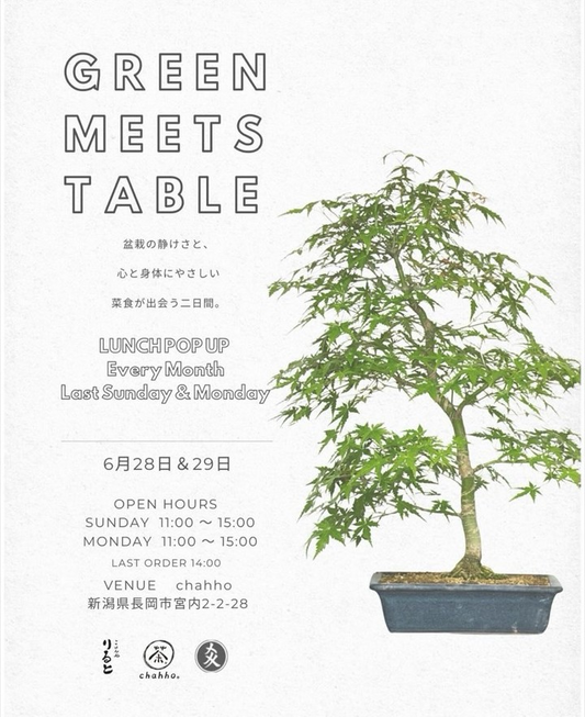 chahhoがGREEN MEETS TABLE vol 8を開催、盆栽とプラントベースごはんが交わる2日間に
