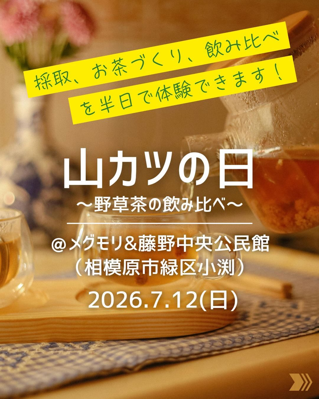 山カツの日2026が藤野で野草茶の飲み比べを開催、野草採取とお茶づくりを体験