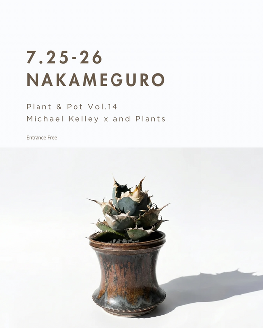 PLANT&POTVol.14 2026が中目黒で開催、Michael Kelleyとand Plantsの2人展を実施