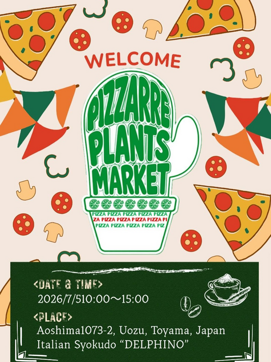 PIZZARREPLANTSMARKET2026が魚津で開催、多肉やアガベが集まる植物マーケット