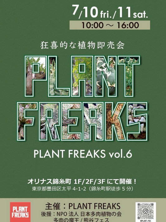 PLANTFREAKSvol.6 2026が錦糸町で開催、日本ケープバルブ同好会が球根や南ア球根を出品