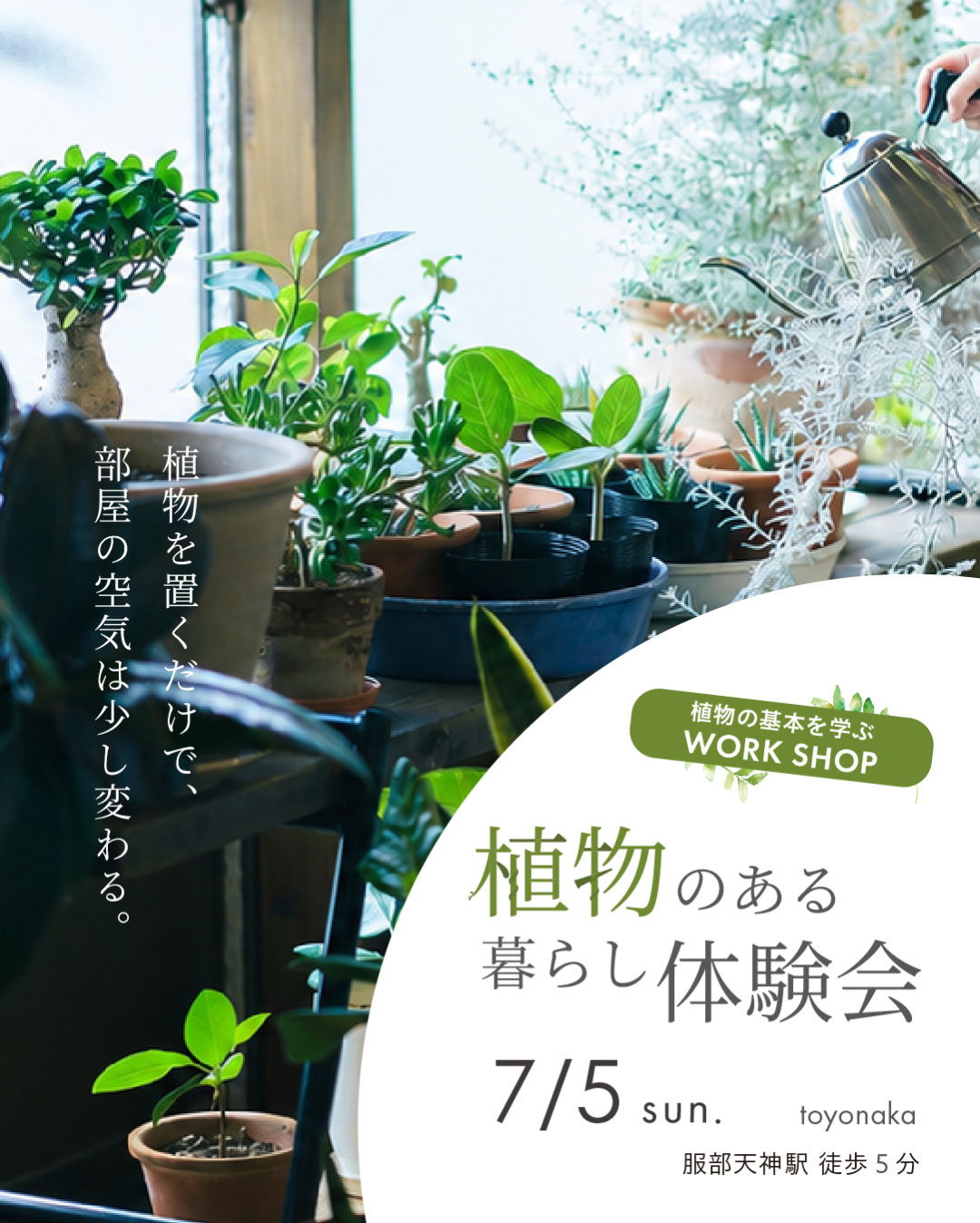 植物のある暮らし体験会2026が豊中で開催、観葉植物の基本と鉢選びを無料で学べるWORKSHOP