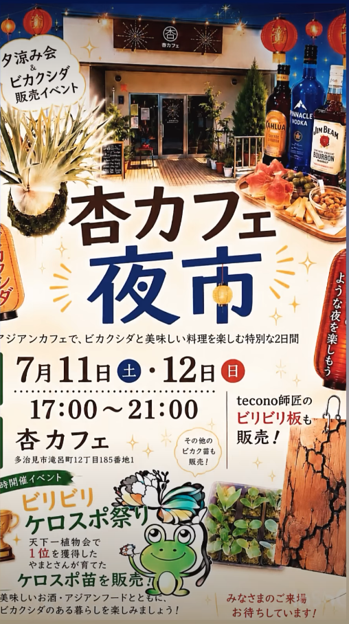 杏カフェ夜市ビカク販売2026が多治見で開催、ビカクシダ苗やビリビリ板を販売