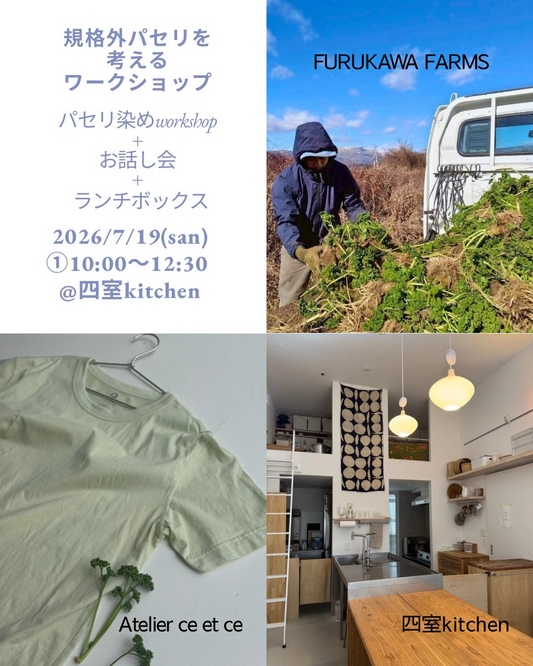 規格外パセリを考えるワークショップ2026が四室で開催、パセリ染めとバンドルダイを体験