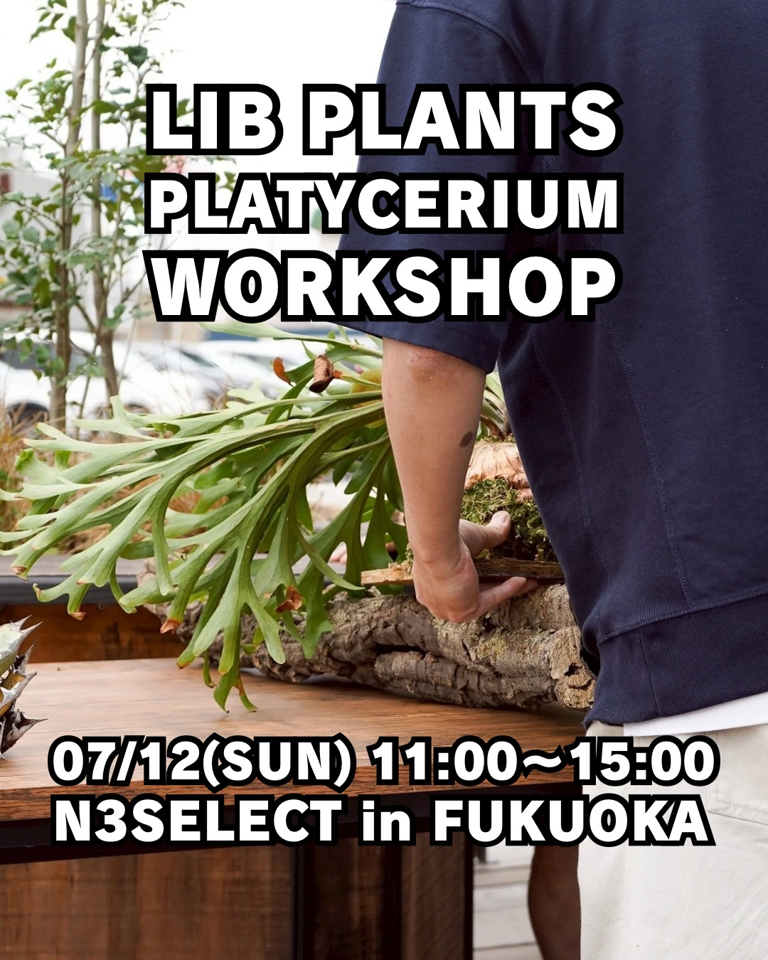 LIBPLANTSビカクシダコルク付ワークショップ2026がN3SELECTで開催