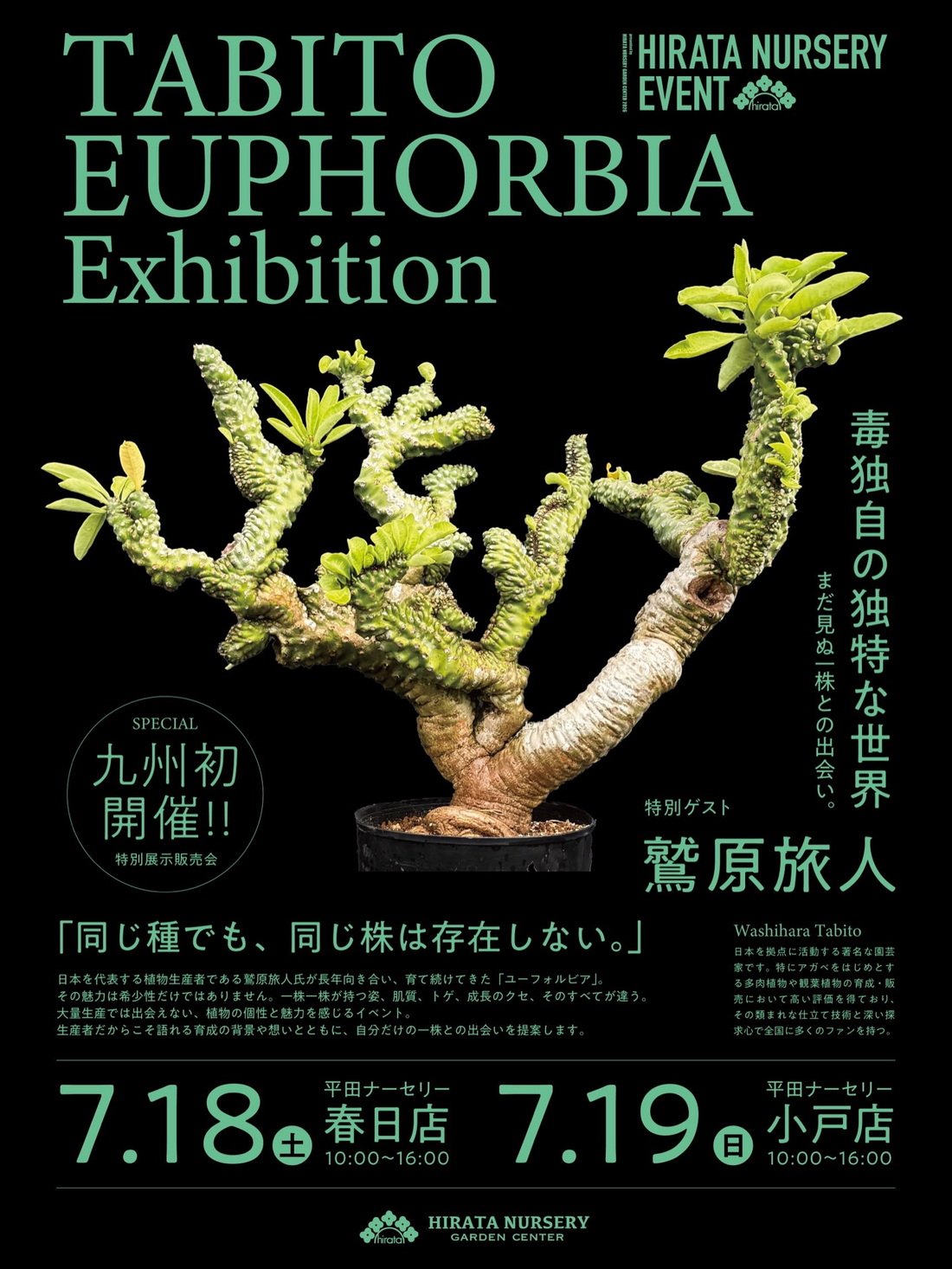 TABITOEUPHORBIAExhibition2026が平田ナーセリー春日店で開催、鷲原旅人さんのユーフォルビアを展示販売