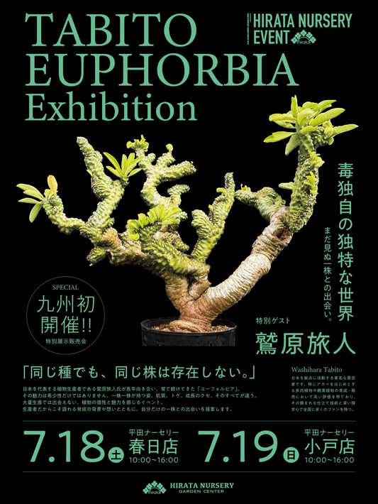 TABITOEUPHORBIAExhibition2026が平田ナーセリー春日店で開催、鷲原旅人さんのユーフォルビアを展示販売
