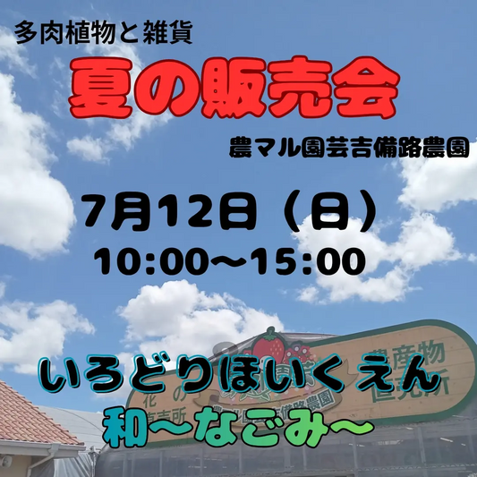 多肉植物と雑貨夏の販売会2026が農マル園芸吉備路農園で開催、夏多肉の普及活動として実施