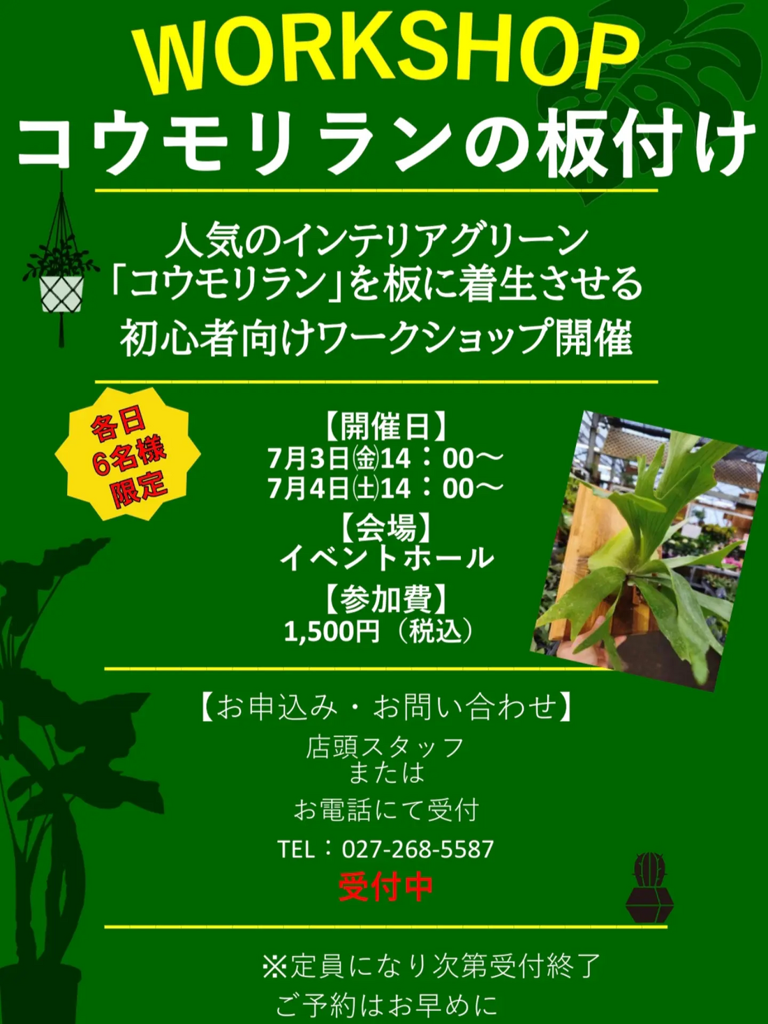 植欲のかたまり。※プロフ要確認※様 リクエスト 2点 まとめ商品 WORKSHOPコウモリランの板付け2026がフラワーガーデン泉で開催、初心者