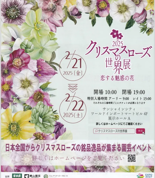 クリスマスローズの世界展2025が東京で開催、長谷川園芸が希少植物の展示販売を実施