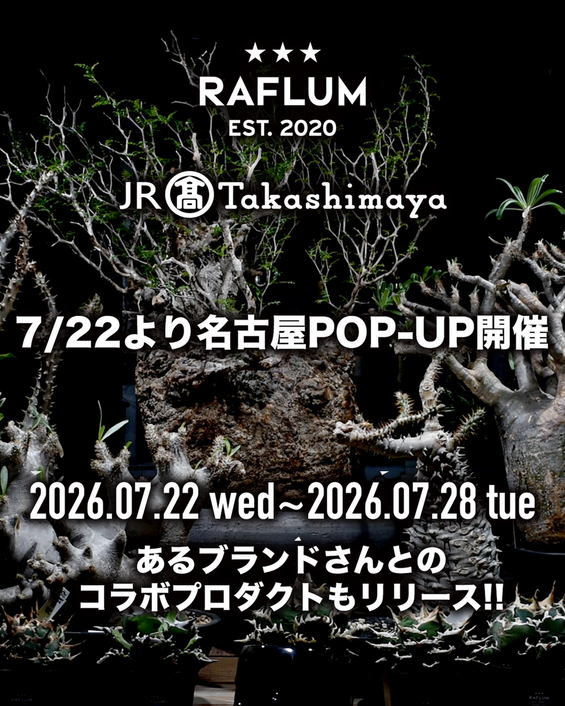 ジェイアール名古屋タカシマヤRAFLUM2026が開催、アガベと塊根植物や作家鉢を特設ブースで販売