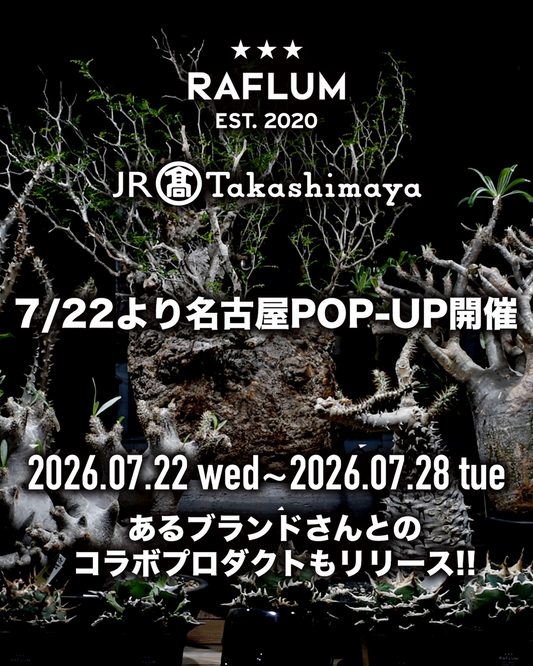 ジェイアール名古屋タカシマヤRAFLUM2026が開催、アガベと塊根植物や作家鉢を特設ブースで販売
