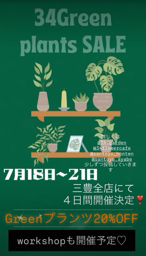 34GardenplantsSALE2026が三豊全店舗で開催、観葉植物や庭木や多肉植物を20%OFFで販売