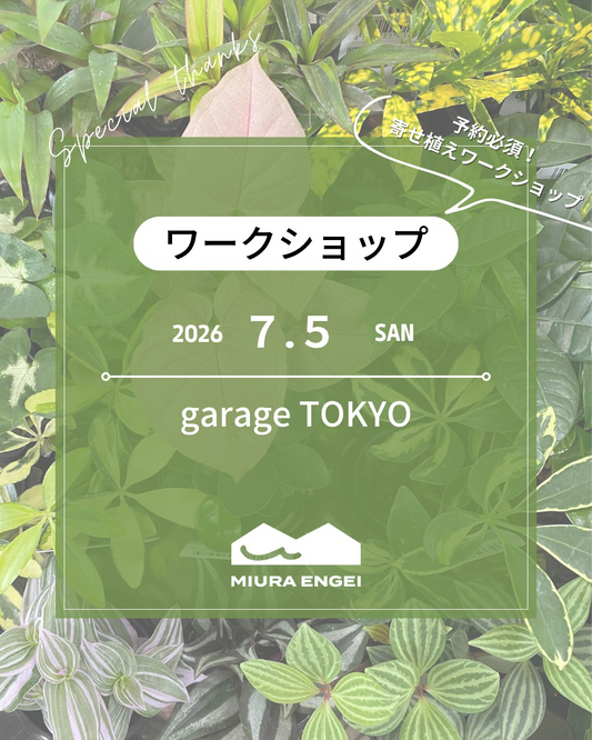 水耕苗寄せ植えワークショップ2026がgarageTOKYOで開催、ハイドロカルチャー苗で夏のアレンジを制作