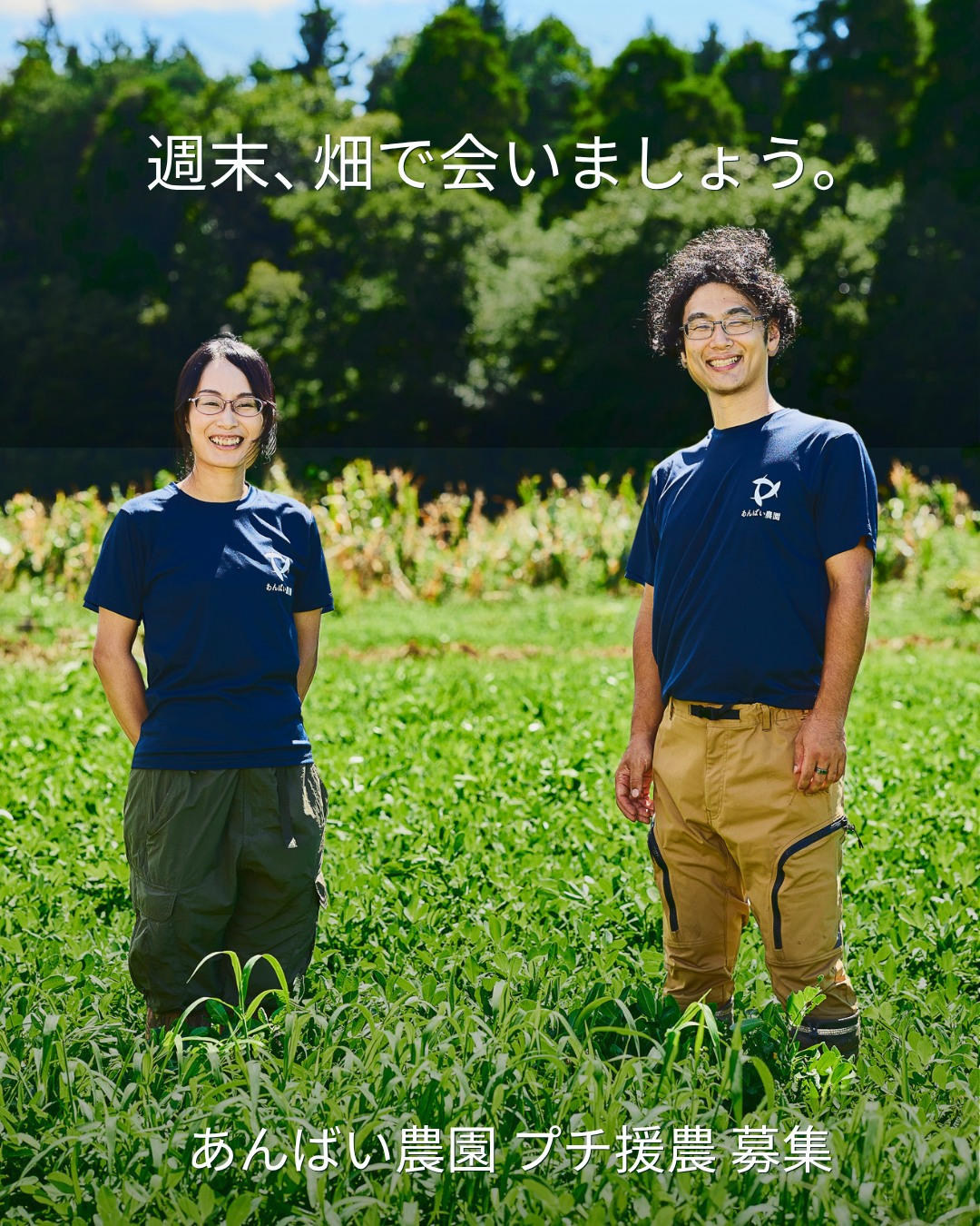 毎週末のプチ援農2026があんばい農園で開催、自然栽培落花生畑の草取り参加者を募集