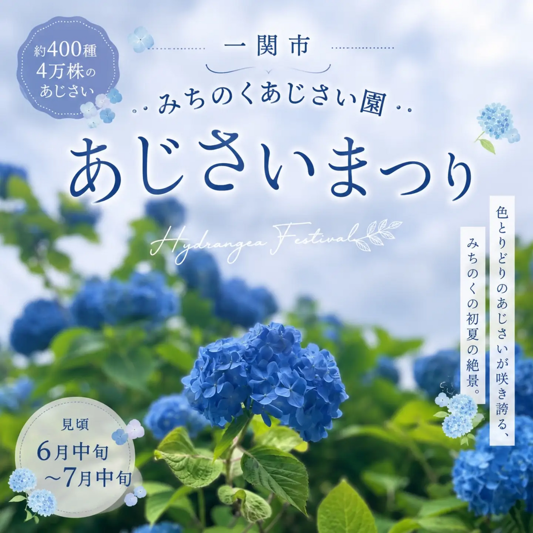 みちのくあじさい園あじさいまつり2026が開催、約400種40000株の絶景とあじさいの池を公開