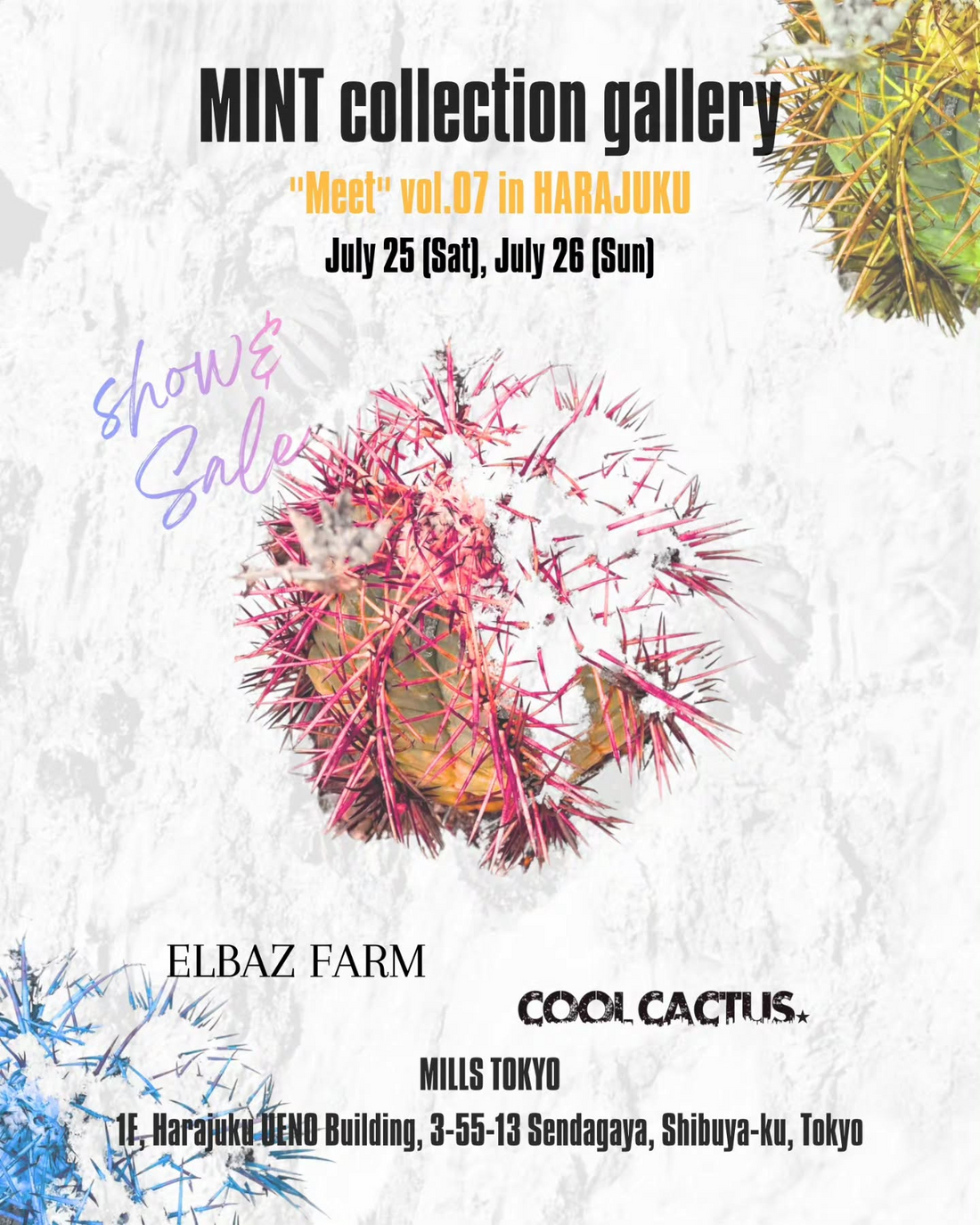 MINTcollectiongalleryMeetvol07inHARAJUKU2026が原宿で開催、琉球盆栽やブーゲンビリアを販売