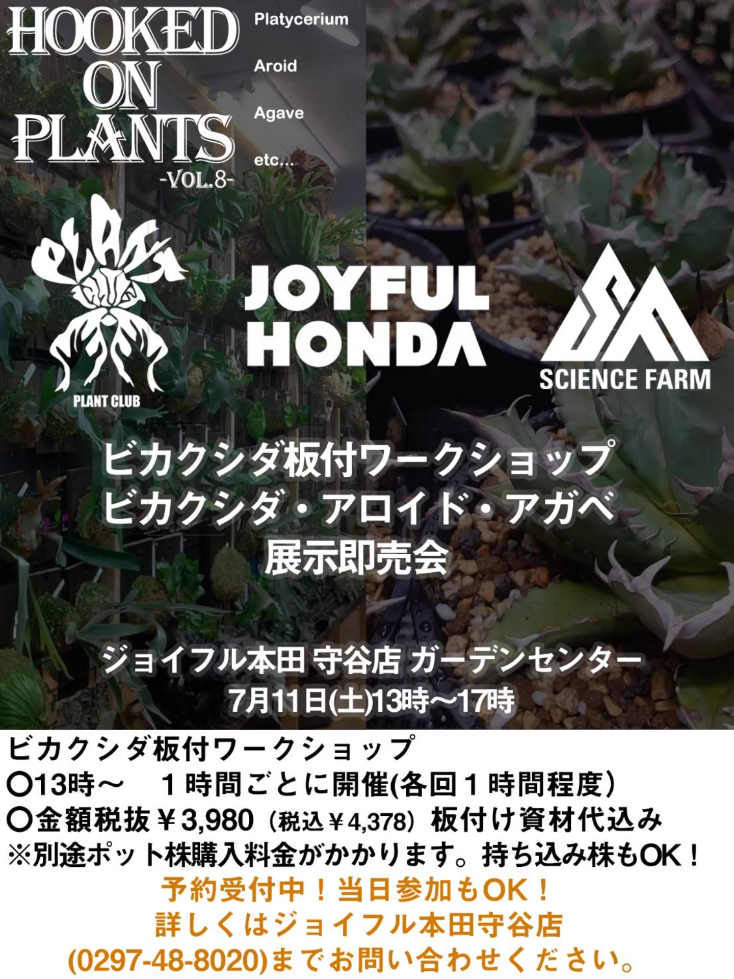 ジョイフル本田守谷店が2026年HOOKED ON PLANTS VOL8を開催、ビカクシダ板付と展示即売会を実施 - リーフラ編集部