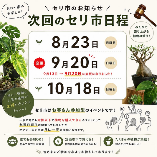 元祖火の国園芸ナーセリーズ本店が2026年セリ市を開催、オフシーズンは月1回の植物競りに