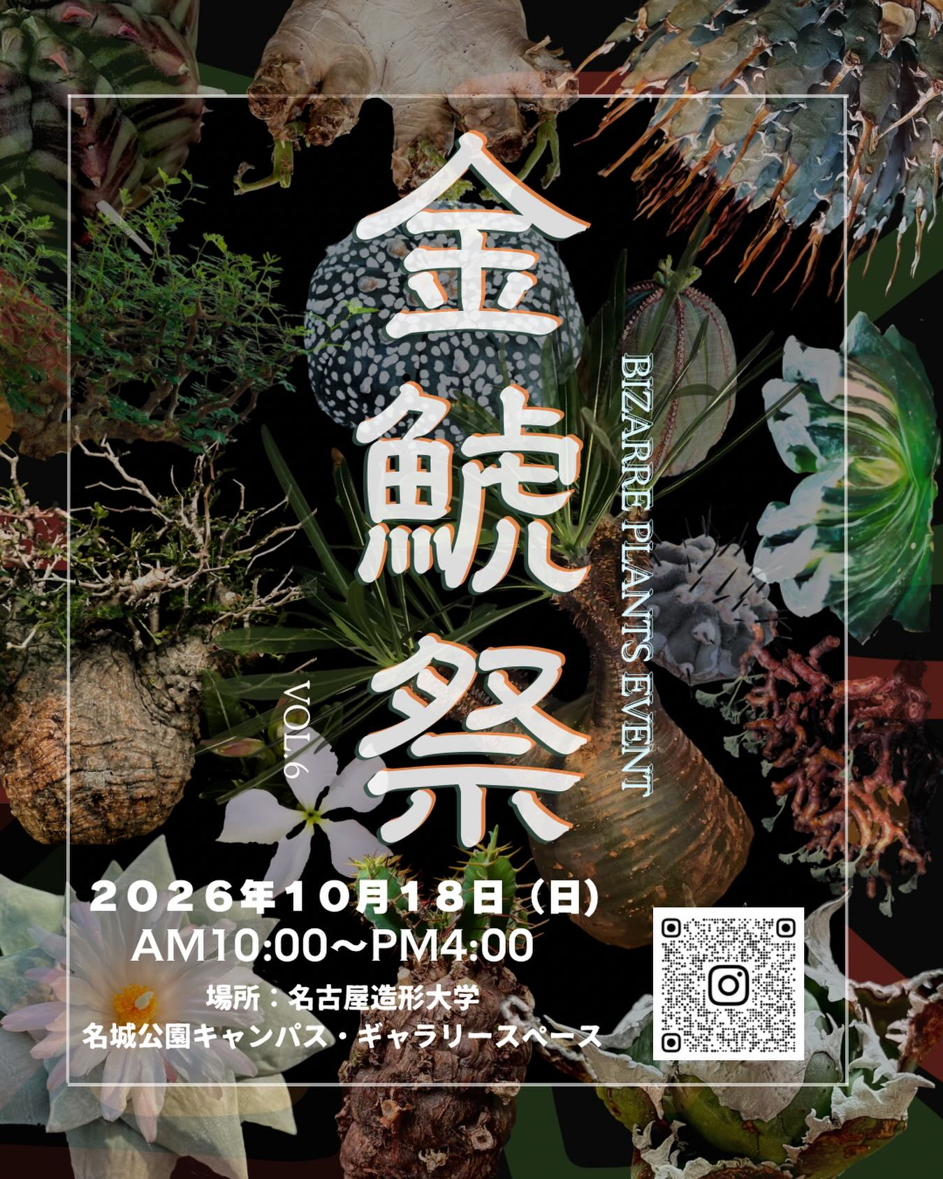 たまがわLOOPが2026年サトウ園芸佐藤勲さん特別講演会を開催、パンジーとビオラの育種を学べる - リーフラ編集部