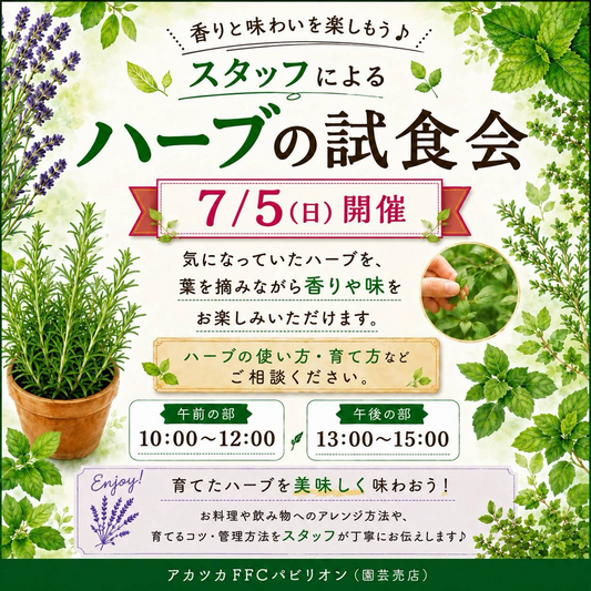 アカツカFFCパビリオンがハーブの試食会2026を開催、香りと味を体験できる無料イベントに