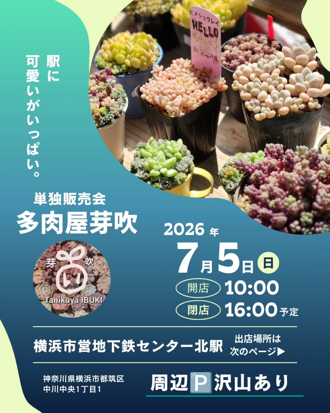 多肉屋芽吹が単独販売会2026を開催、センター北駅構内で多肉植物と鉢を販売