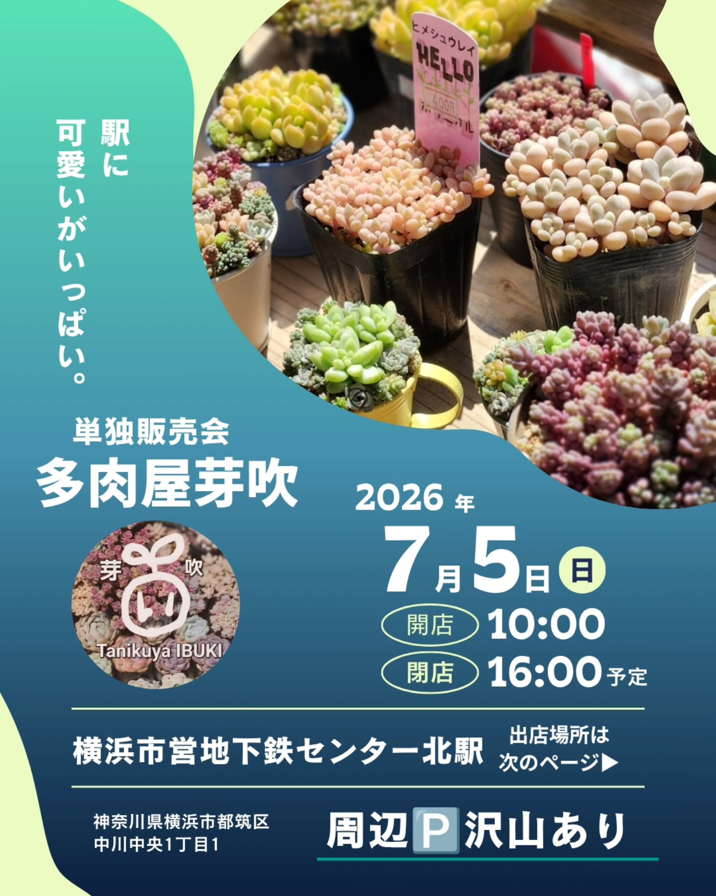 多肉屋芽吹が単独販売会2026を開催、センター北駅構内で多肉植物と鉢を