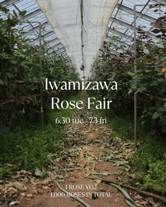 Jaz flower shopがIWAMIZAWA ROSE FAIR2026を開催、岩見沢産バラを1本132円で期間限定販売