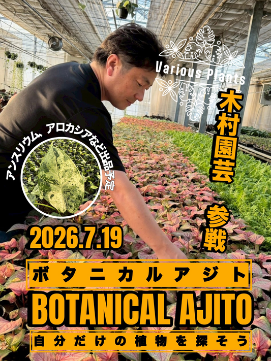 ボタニカルアジトBOTANICALAJITOが2026年にゆくはし植物園で開催、木村園芸など3者が合同即売会を実施