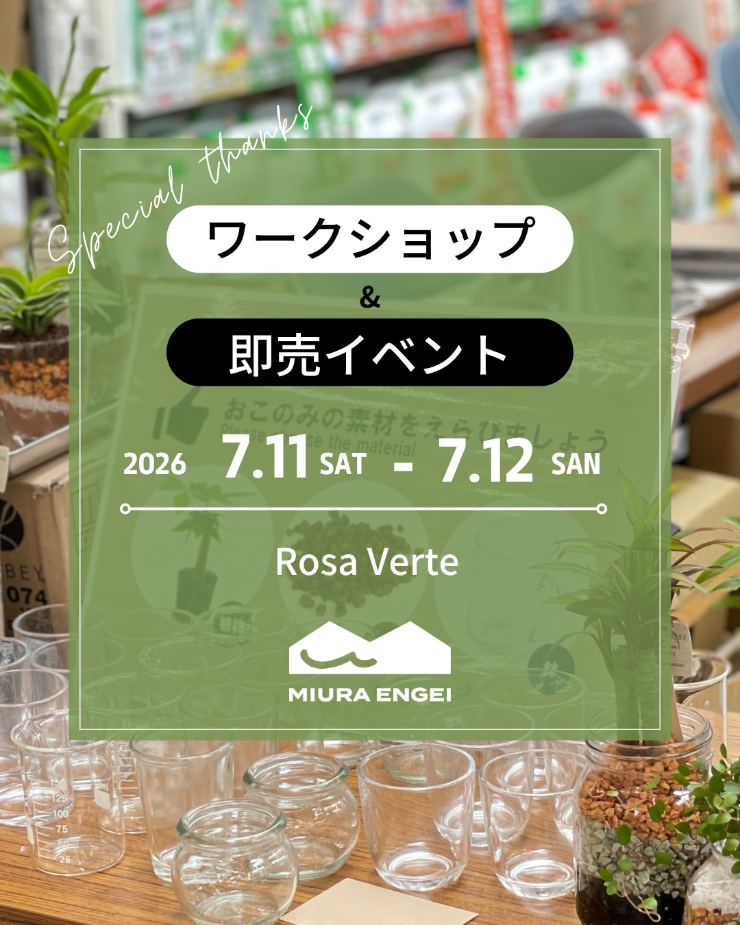 アロイド系観葉植物販売会＆ワークショップが2026年にRosa Verteで開催、フィロデンドロン販売と土を使わない観葉植物制作