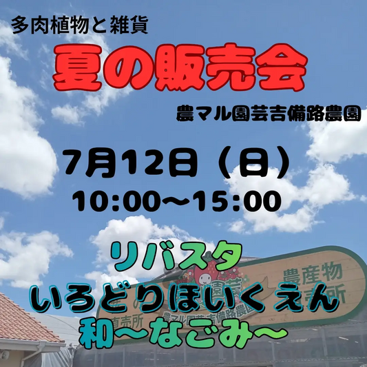 夏の販売会2026が農マル園芸吉備路農園で開催、リバスタ参戦の屋外販売会として実施