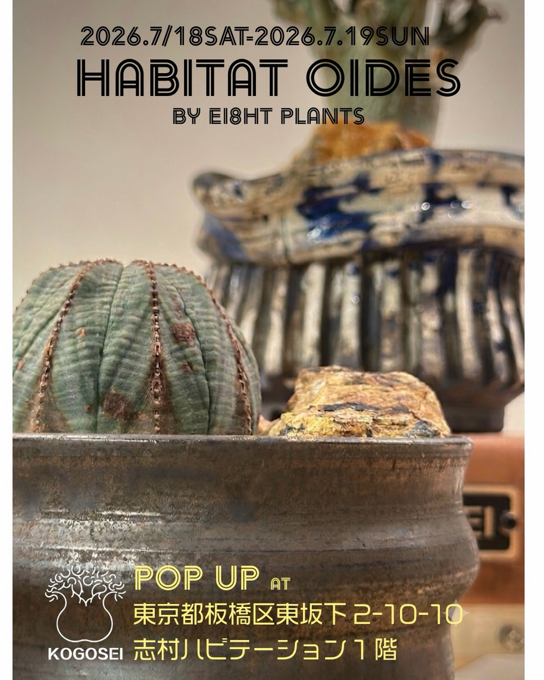 POP UP event HABITAT OIDES 2026がKOGOSEIで開催、Habitat Oidesと実生アガベを店頭展示