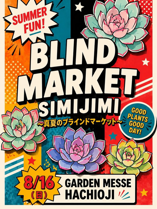 BLINDMARKET2026SIMIJIMIがガーデンメッセ店で開催、真夏の室内ブラインドマーケットと希少苗企画を実施