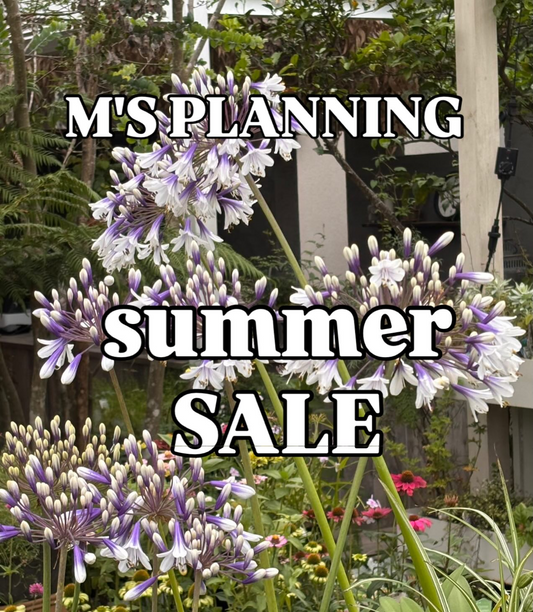 M'SPLANNINGSUMMERSALE2026が鹿嶋で開催、宿根草や一年草と観葉植物の3日間限定割引を実施