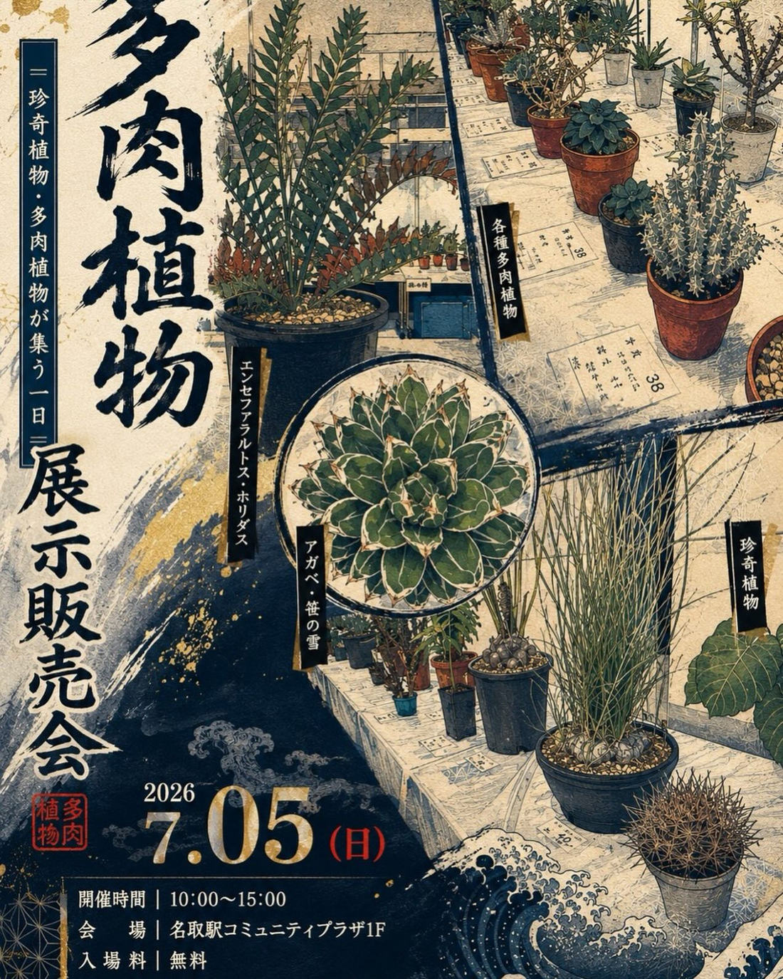 2026年JSS日本多肉植物の会南東北支部展示販売会が名取で開催、多肉植物やアガベを展示販売