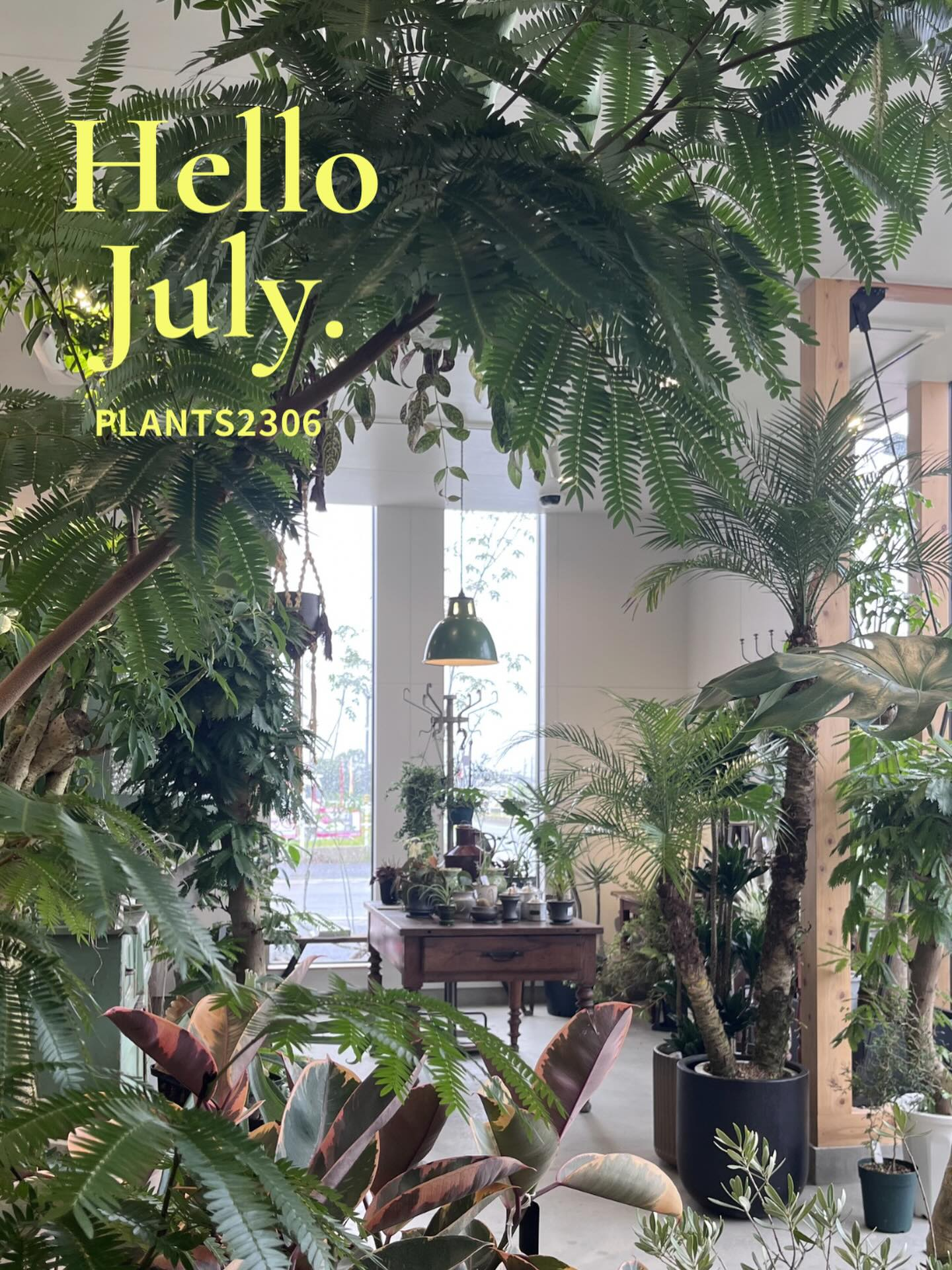 HelloJuly2026がPLANTS2306岡崎店で開催、庭木5%OFFSALEと7月の店舗企画を案内 - リーフラ編集部