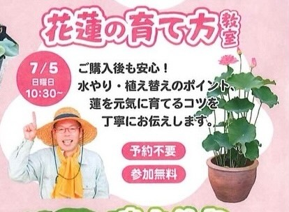 花蓮の育て方教室2026が杜若園芸で開催、水やりと植え替えのポイントを無料で紹介