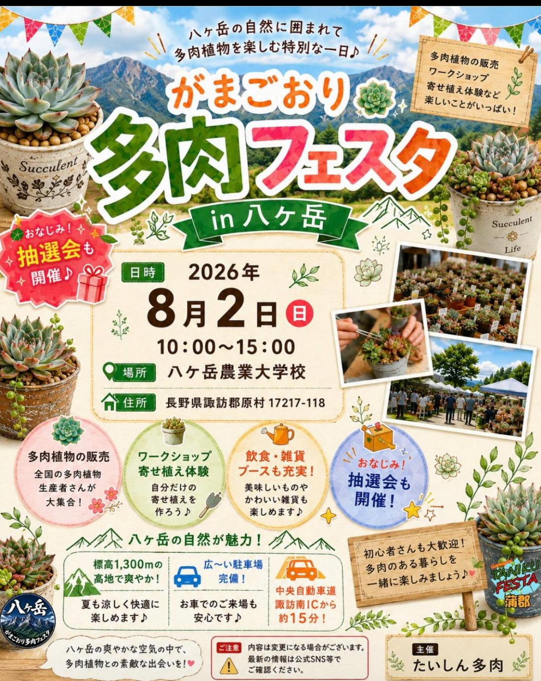 たいしん多肉ががまごおり多肉フェスタin八ヶ岳2026を開催、多肉植物販売と寄せ植え体験を実施