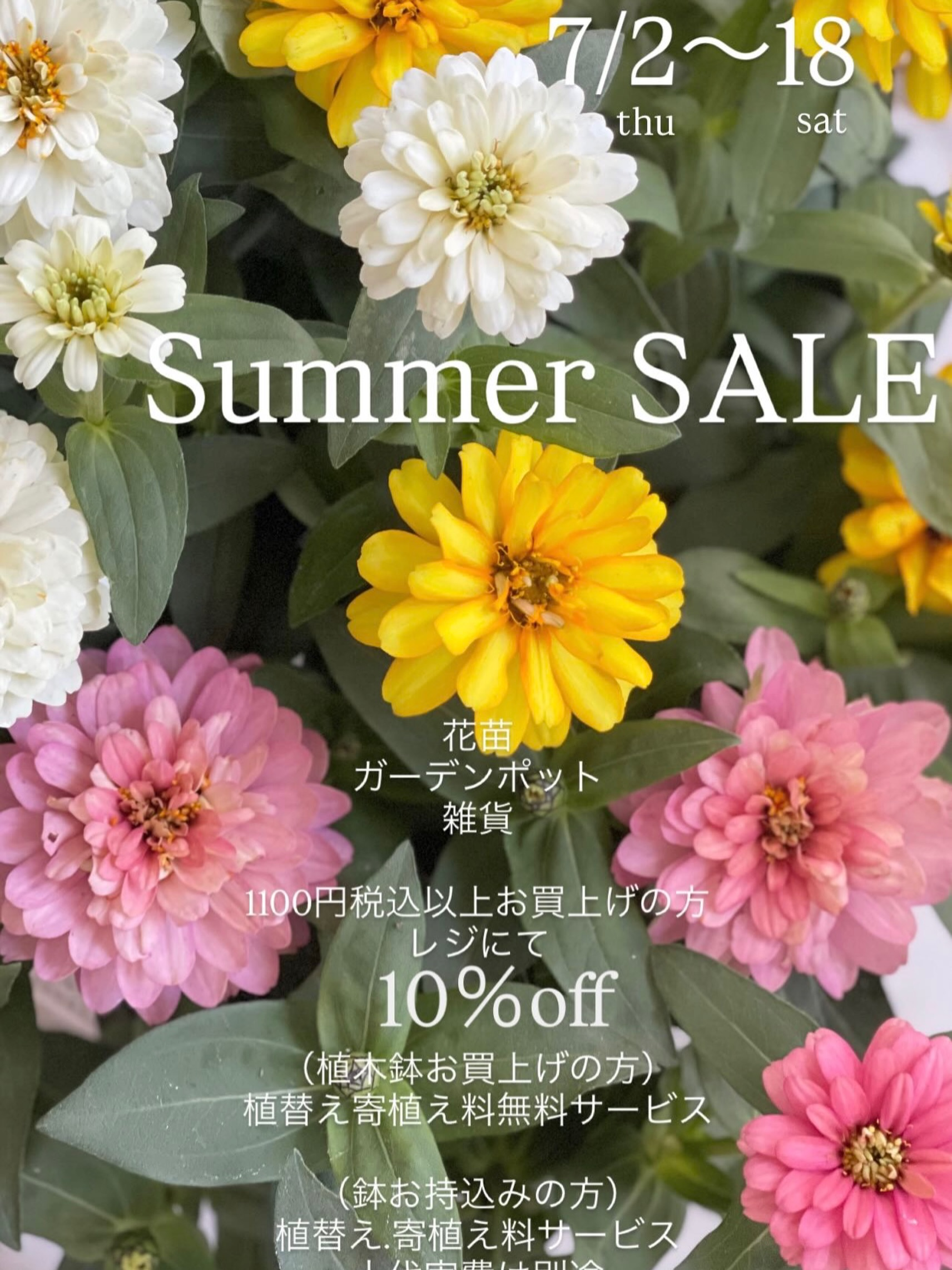 SummerSALE2026が十ノ瀬藤の郷で開催、花苗や観葉植物など10%offと植替えサービスを実施 - リーフラ編集部
