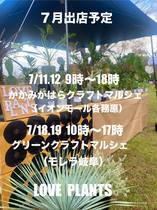 かかみがはらクラフトマルシェ2026にLOVEPLANTSが出店、観葉植物や塊根植物を展開