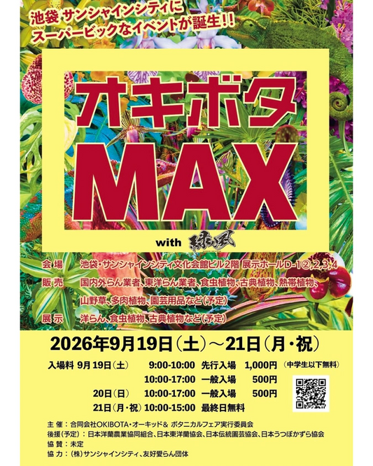 オキボタMAXwith縁風2026がサンシャインシティで開催、蘭や食虫植物と古典植物が集結