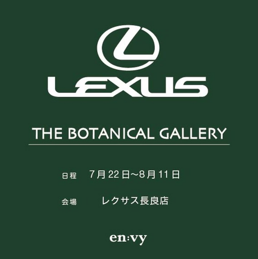 LEXUS THE BOTANICAL GALLERY2026がレクサス長良で開催、envyplantsが塊根植物と作家鉢を展示
