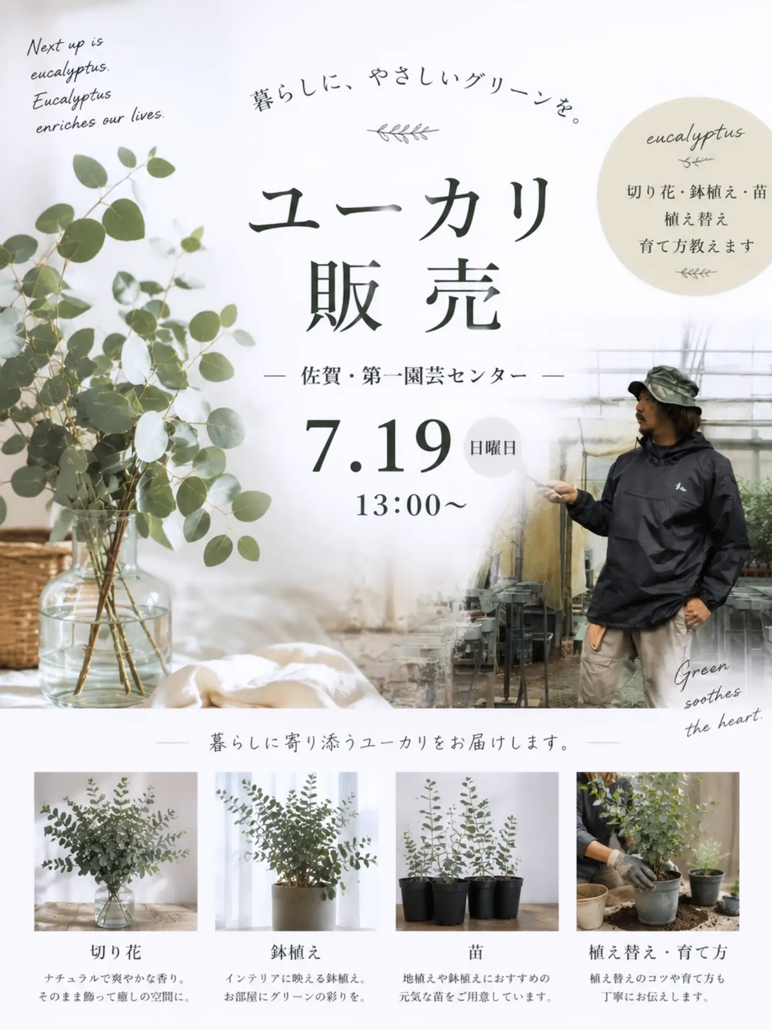 ユーカリ販売2026がだいいちえんげいセンターで開催、切り花や鉢植えと苗で暮らしに緑を提案