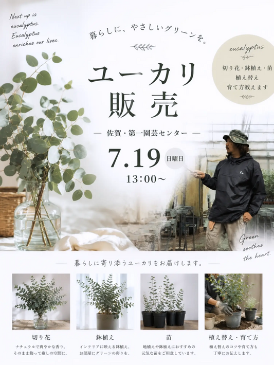 ユーカリ販売2026がだいいちえんげいセンターで開催、切り花や鉢植えと苗で暮らしに緑を提案
