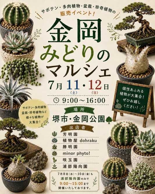 金岡みどりのマルシェ2026が金岡公園で開催、浦部陽向園と植物出店者が多肉植物販売に出店
